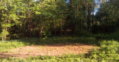 L'Arbre à Légumes
