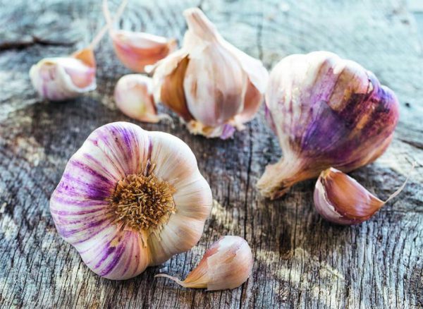 Ail Violet (/100g) (Non disponible actuellement)