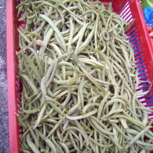 Haricot vert (/kg) (non disponible actuellement)