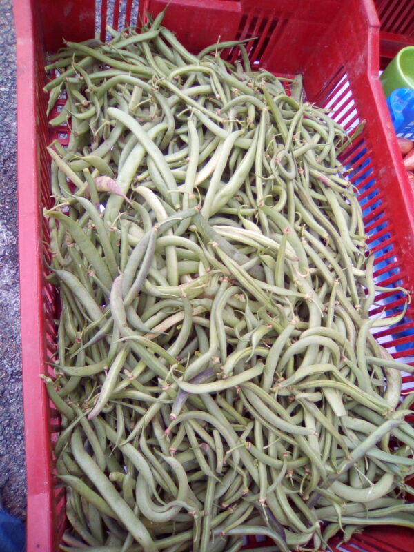 Haricot vert (/kg) (non disponible actuellement)